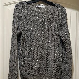 Zara Metallic Knit Sweater